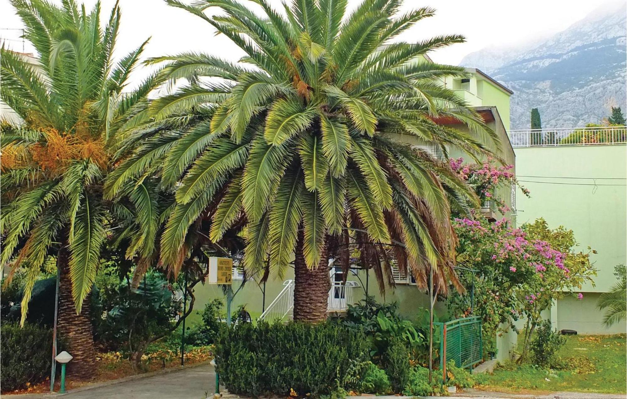 Lovely Apartment In Makarska With Wifi 외부 사진